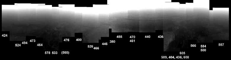 Huygens distant view, no flatfield correction applied